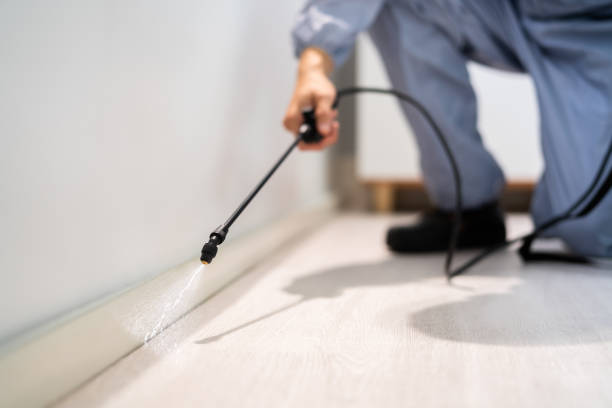 Licensed Pest Control service in Rockfish, NC - Show Me Pest Control