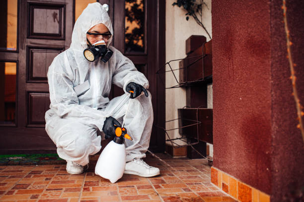 Attic and Crawl Space Rodent Treatment in Rockfish
